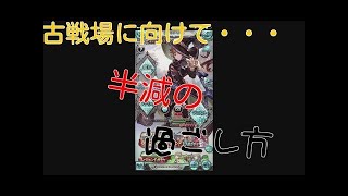 【グラブル】【初級者～中級者向け】予選・インターバルの過ごし方、本戦の立ち回り