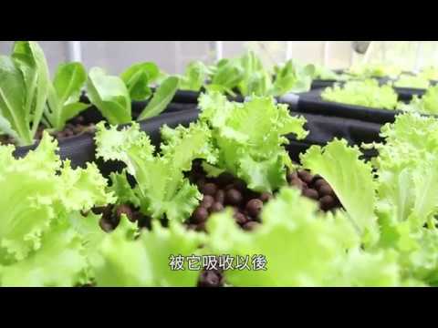 魚幫菜 菜幫魚 共生食農新經濟