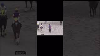 【園田・姫路】発売締切前BGM【競馬場】