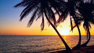 MBB - Wake Up - Chill Lounge Cafe Featured Artist Track