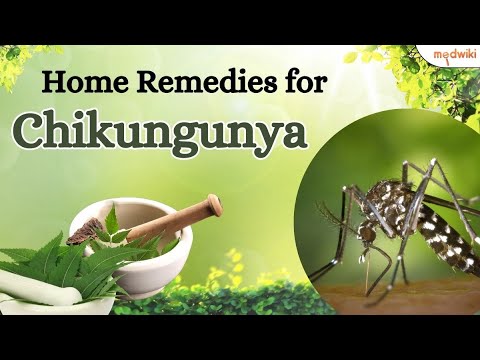 Top 7 Home Remedies for Chikungunya!