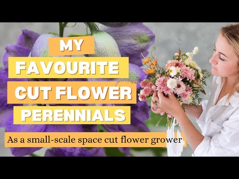 My favourite cut flower perennials! They're the gift that keeps on blooming.