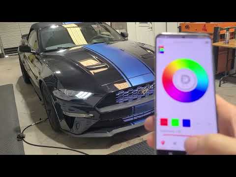2019 Mustang RGBW Headlights & Grille - Diode Dynamics LEDs
