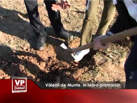 Vălenii de Munte, în febra plantărilor