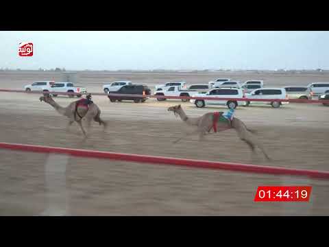  ش 2 (شاهين) لـ حارب بن مغير العميمي 3:04:40 ، شارة الصندوق 2026/08/10 فطامين الوثبة
