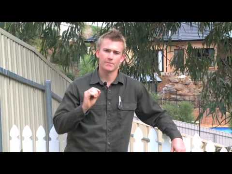 download lagu mp3 mp4 Southern Feature Fencing, download lagu Southern Feature Fencing gratis, unduh video klip Southern Feature Fencing