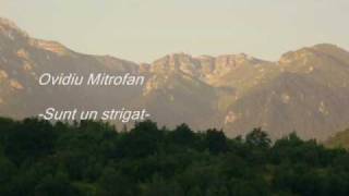 Ovidiu Mitrofan -Sunt un strigat-