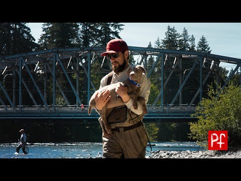 Life With Koda ( Episode 4) - First fishing trip with a weimaraner puppy.