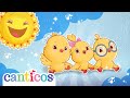 Los Pollitos Dicen Pío Pío Canción De La Granja Canticos En Español Canciones Infantiles