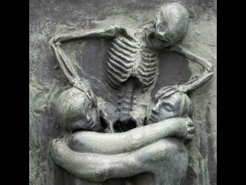 TAHA x KILLUA - ABU DHABI 