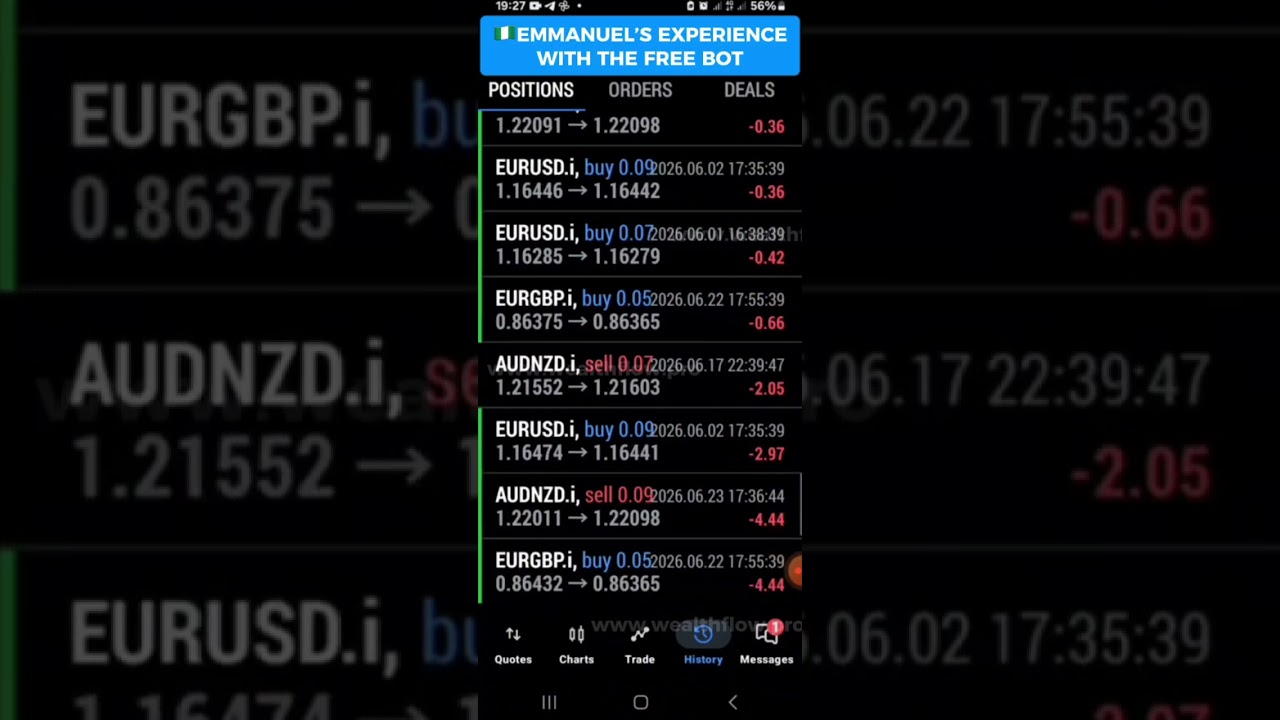 Emmanuel's Free Bot Experience