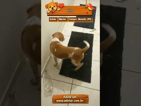 Vídeo de Bilbo