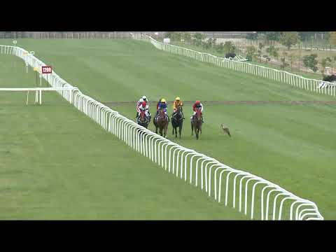 2021.10.10. 06. futam - BARNA ANDRÁS EMLÉKVERSENY HENDIKEP (I.o.)