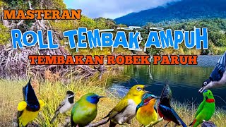 Download lagu 2 jam masteran BURCIL Irama sejalur Roll tembak ampuh MUDAH MASUK tembakan robek paruh mp3 Download lagu 2 jam masteran BURCIL Irama sejalur Roll tembak ampuh MUDAH MASUK tembakan robek paruh mp3