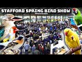 Stafford Spring Bird Show 2023 - HUGE Bird Sale