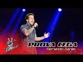 Fernando Daniel - 