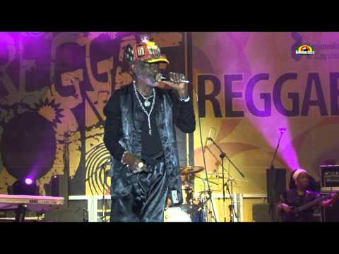 LEE "Scratch" PERRY"Jah﻿ Live"- Live @ Reggae On / Częstochowa 2012
