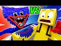 PRO PLAYER Vs HUGGY WUGGY Animation
