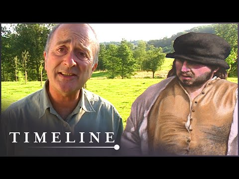 A Medieval Blast Furnace | Time Team (Archaeology Documentary) | Timeline