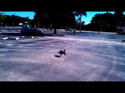 Traxxas slayer Pro 3.3 nitro out of box after prop