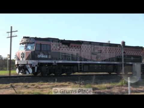 AUG 14 CF4412 BlackCaviar CF4411