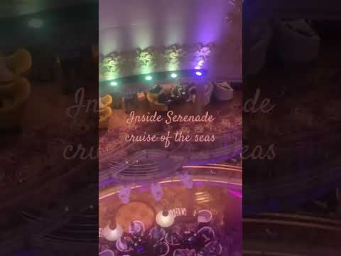 Thumbnail for Serenade of the seas#serenadeoftheseas #cruise  #vacation #holiday #vlog #rosé #cruiseblogger