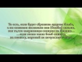 Аль-Альбани: Возвращаются ли души умерших в наш мир 