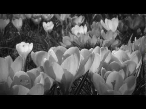 "Frühlingsstimmen" ("Voices of Spring"), Op. 410, by Johann Strauss II,