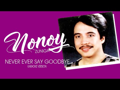 NEVER EVER SAY GOODBYE - NONOY ZUNIGA (Karaoke Version)