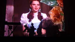 Massive Attack - Where Have All The Flowers Gone? - Paris Zenith 2019, 11 fév