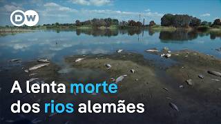 Miniatura do vídeo