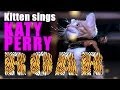 Katy Perry - Roar Parody - Kitty Purry - Meow 