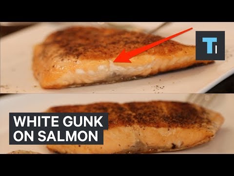 What that white gunk on your salmon actually is — and...