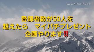 チャンネル登録者50人到達でバチプレゼント！　その種類（性能）なにがいい？