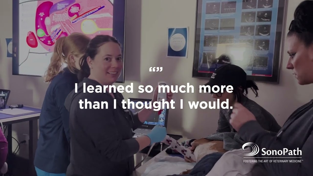 SDEP® Abdomen Hands-On Lab | May 2023