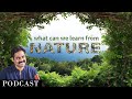 What can we learn from NATURE | Ajay Vegesna Podcast | THE OG SHOW