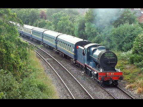 RPSI No. 461 & 85 'Merlin' on the Steam Dreams tour