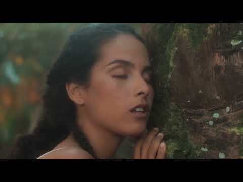 Laura Catarina - Onde Deus Possa Me Ouvir (Visualizer)