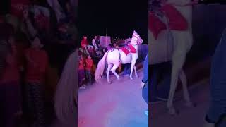 Download lagu DJ pe nache ghodi||wedding dance mp3