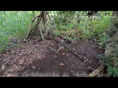 Miravalle, Acajutla, Sonsonate. 1 tarea, 500 m². Mas información al 7639 4721