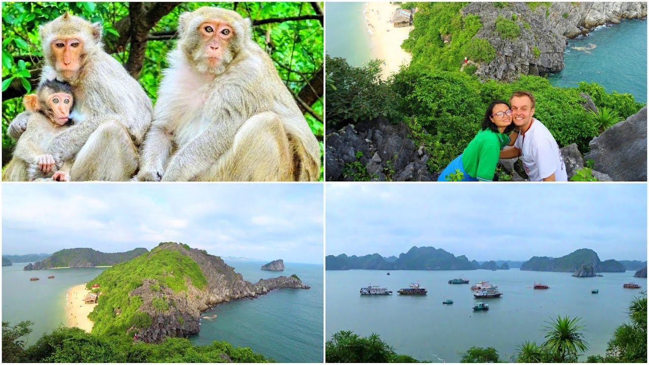 Discover a captivating glimpse of Monkey Island.