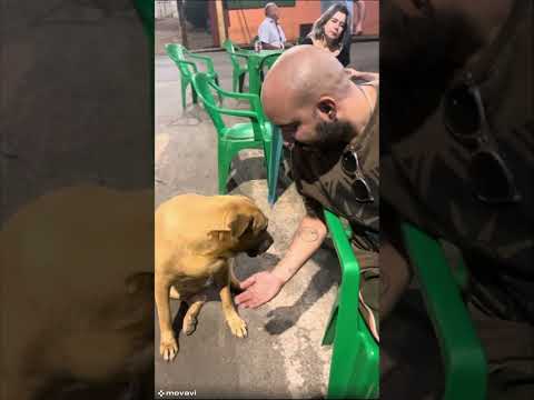 Tomando Cachaça em São Roque de Minas