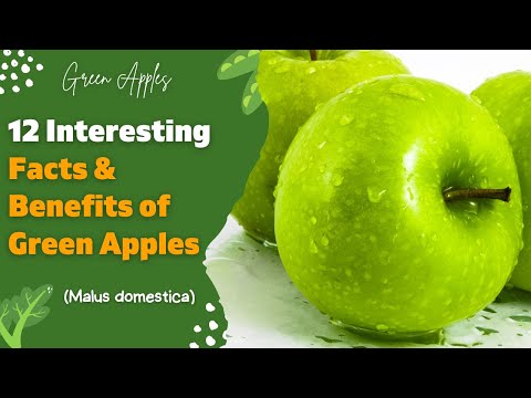 ☑️12 Interesting Facts & Benefits of Green Apples (Malus domestica) || About Green Apples