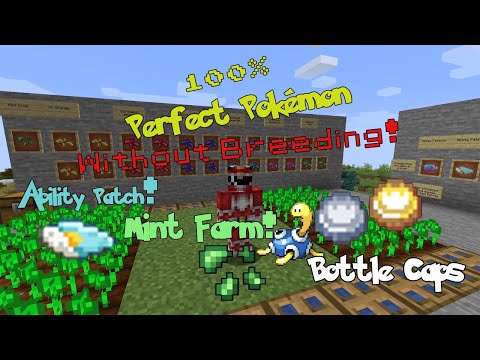 Pixelmon - How to Get 100 IV Perfect Pokémon without Breeding