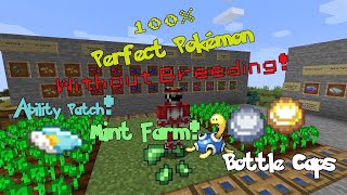 Pixelmon - How to Get 100 IV Perfect Pokémon without Breeding