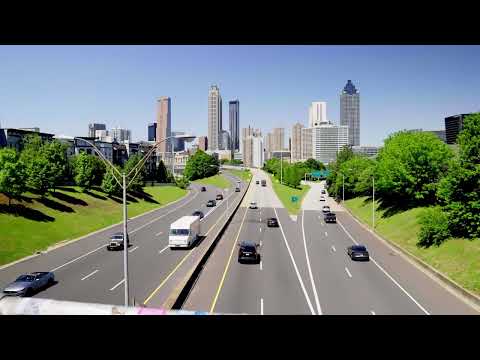 The Tree Economy Official Trailer