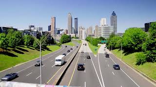 The Tree Economy Official Trailer