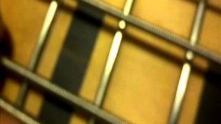 Video thumbnail for Schecter Riot Session 5 string closeup and demo by Guitars, Cars, and other man stuff