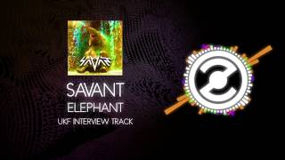 Savant - Elephant