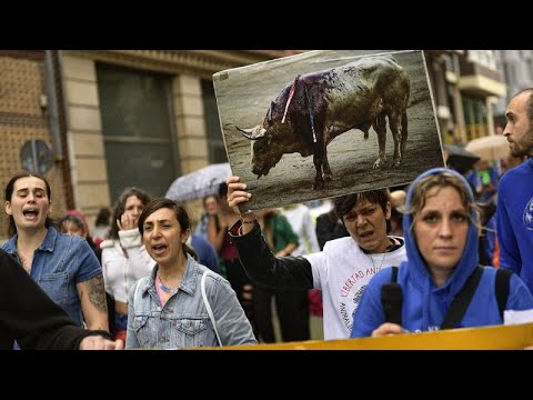 "Es ist meine Familie": Menschen demonstrieren für Tierrechte in Mexiko